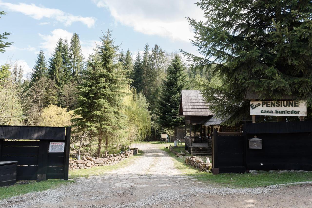 Pensiunea Casa Bunicilor Mînăstirea Humorului Exteriér fotografie