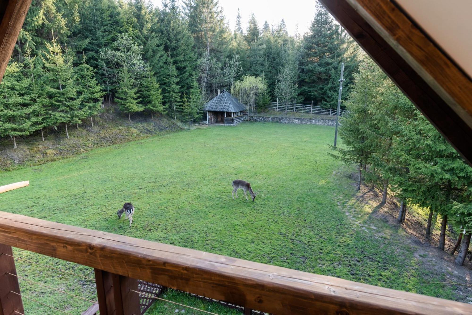 Pensiunea Casa Bunicilor Mînăstirea Humorului Exteriér fotografie