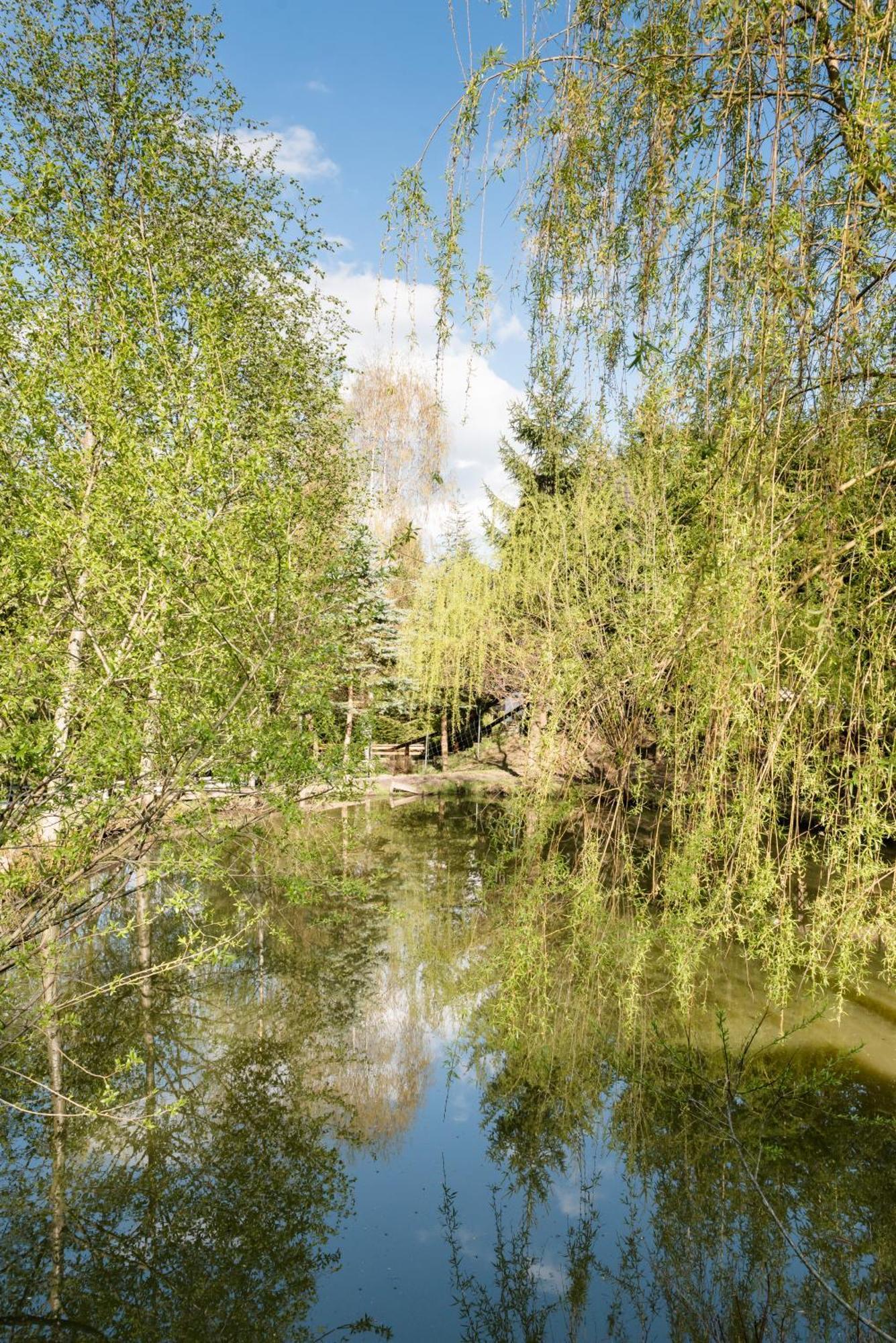 Pensiunea Casa Bunicilor Mînăstirea Humorului Exteriér fotografie